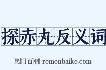 探赤丸反义词是什么意思的图片